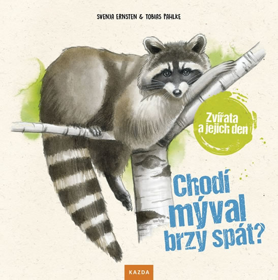Obrázok Chodí mýval brzy spát? - Zvířata a jejic