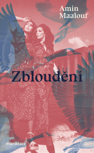 Obrázok Zbloudění