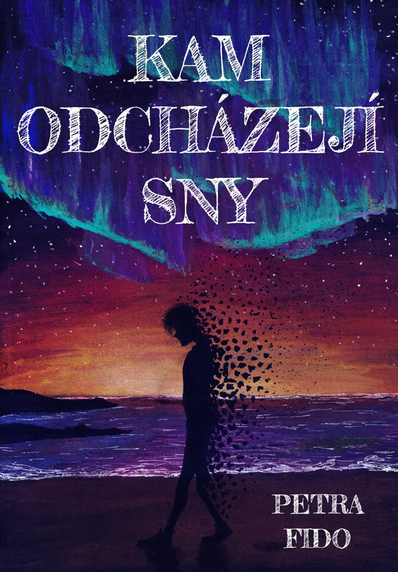 Obrázok Kam odcházejí sny