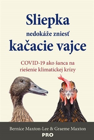 Obrázok Sliepka nedokáže zniesť kačacie vajce
