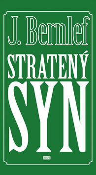 Obrázok Stratený syn