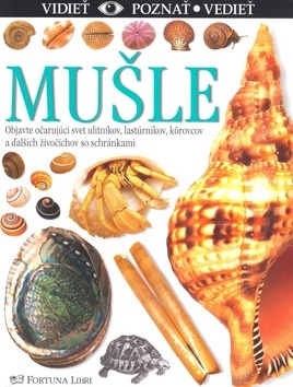 Obrázok Mušle - Vidieť, poznať, vedieť