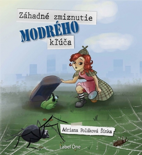 Obrázok Záhadné zmiznutie modrého kľúča