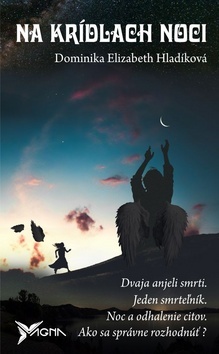 Obrázok Na krídlach noci