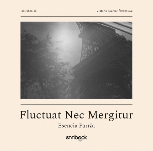 Obrázok Fluctuat Nec Mergitur