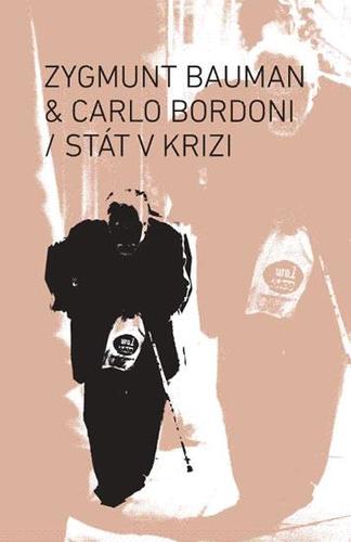 Obrázok Stát v krizi