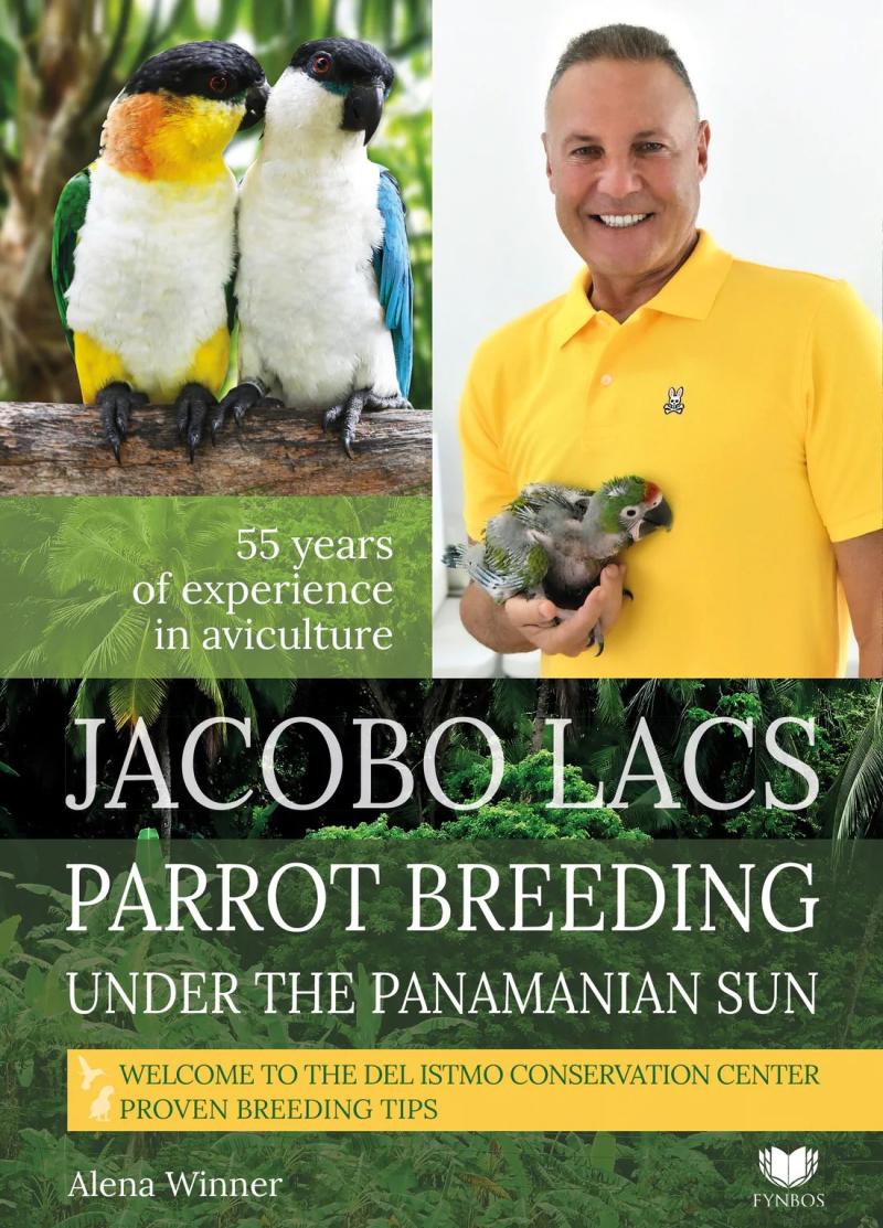 Obrázok Parrot breeding unter the Panamanian Sun