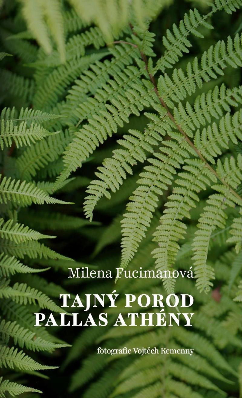 Obrázok Tajný porod Pallas Athény