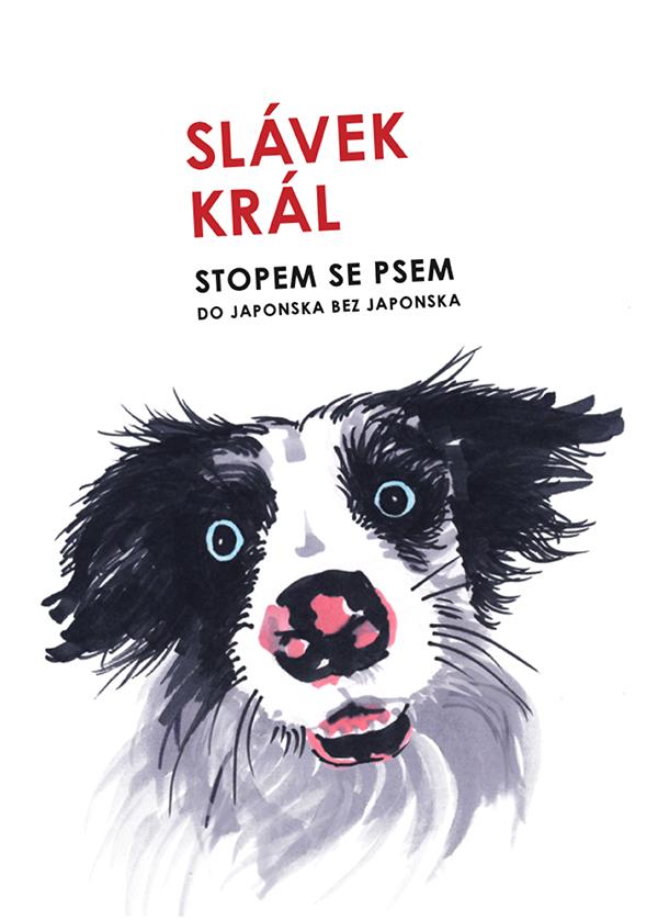 Obrázok Stopem se psem