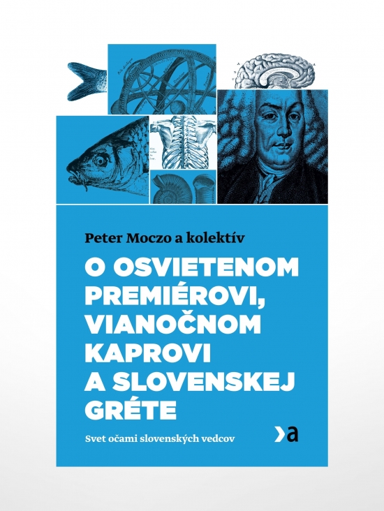 Obrázok O osvietenom premiérovi, vianočnom kaprovi a slovenskej Gréte