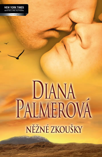 Obrázok Něžné zkoušky (Andělská láska / V zápalu vášně)