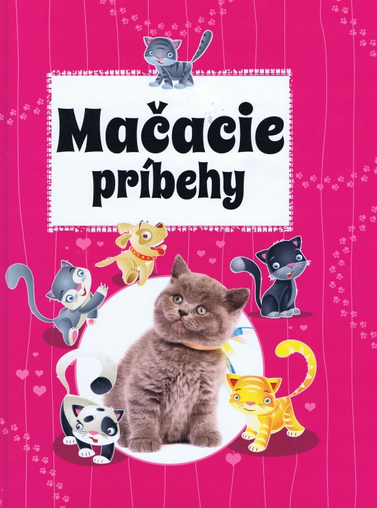 Obrázok Mačacie príbehy