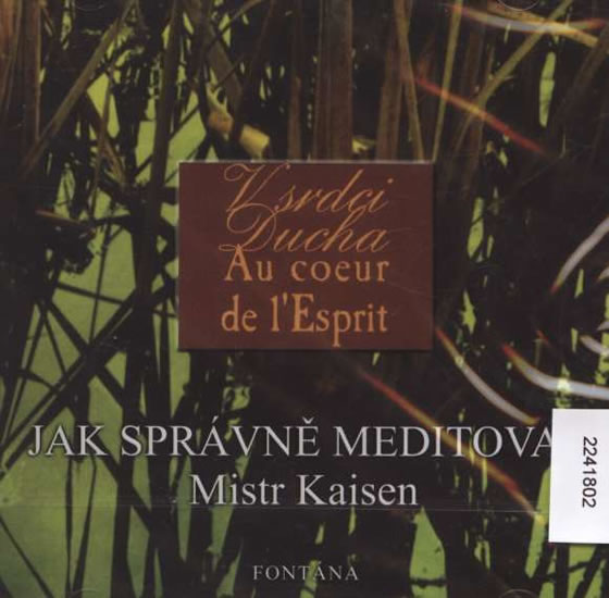 Obrázok Jak správně meditovat - CD