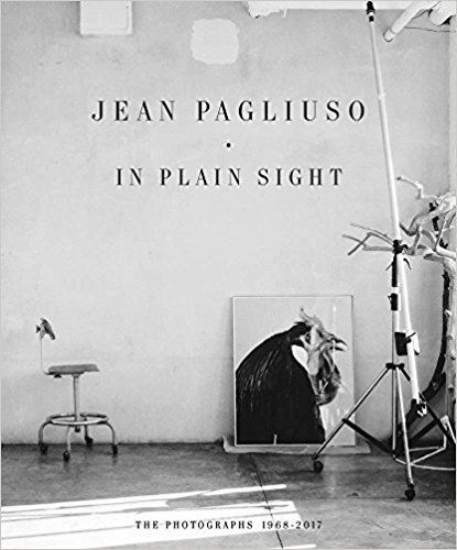 Obrázok Jean Pagliuso: In Plain Sight