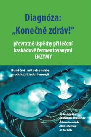 Obrázok Diagnóza: Konečně zdráv