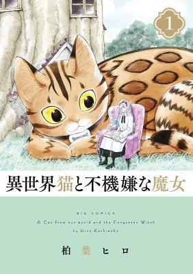 Obrázok A Cat from Our World and the Forgotten Witch 1